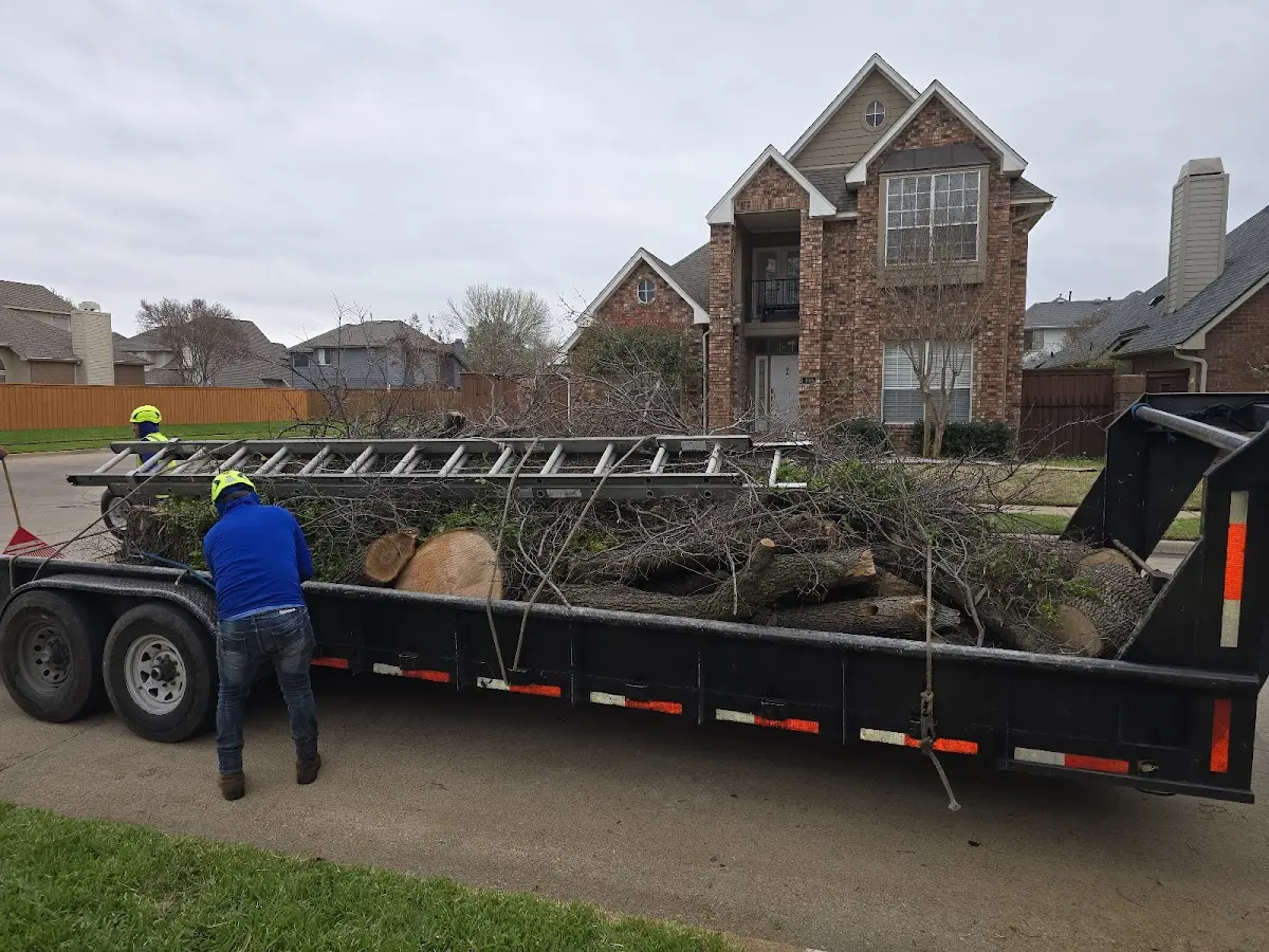 Expert Tree Fertilization with proper safety equipment in Rogue River